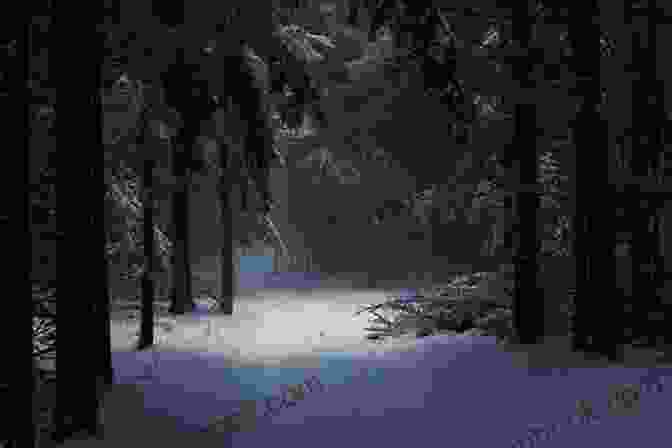 A Snow Covered Path Leading Into A Dark Forest On A Winter Night Haiku Under The Wolf Moon: Haiku And Haibun For A Winter Night