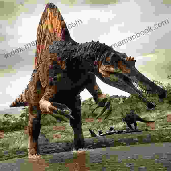A Spinosaurus, The Largest Theropod, Discovered In 2024. Top 10 Dinosaurs Of 2024: The 10 Biggest Dinosaur Discoveries Of 2024 (I Know Dino Top 10 Dinosaurs 3)