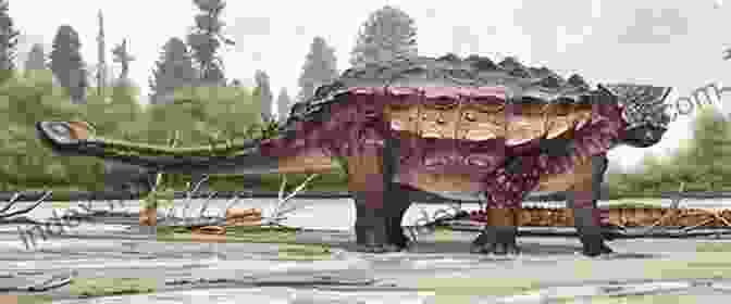 A Stegosaurus, The Most Heavily Armored Dinosaur, Discovered In 2024. Top 10 Dinosaurs Of 2024: The 10 Biggest Dinosaur Discoveries Of 2024 (I Know Dino Top 10 Dinosaurs 3)