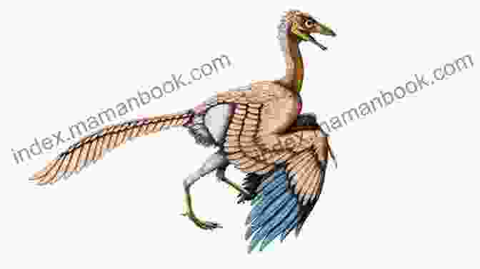 An Archaeopteryx, The Missing Link Between Dinosaurs And Birds, Discovered In 2024. Top 10 Dinosaurs Of 2024: The 10 Biggest Dinosaur Discoveries Of 2024 (I Know Dino Top 10 Dinosaurs 3)
