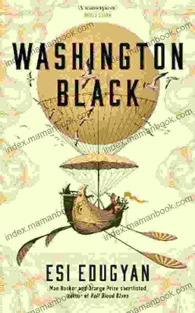 Cover Of Washington Black Novel By Esi Edugyan, Depicting A Young Black Man Standing In A Field With His Back To The Viewer, The Sky Ablaze With Color Washington Black: A Novel Esi Edugyan