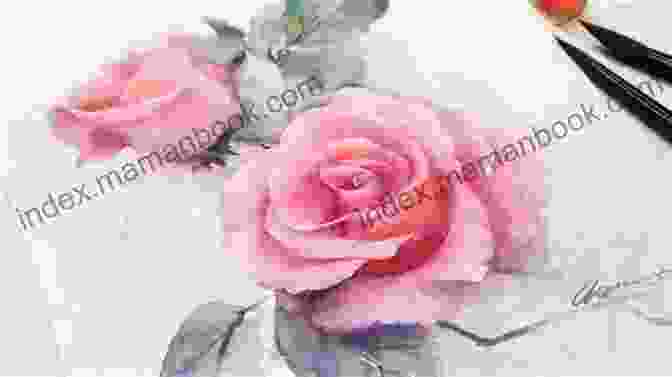 Finished Watercolor Rose Watercolor Rose Tutorial Nicole Sletten