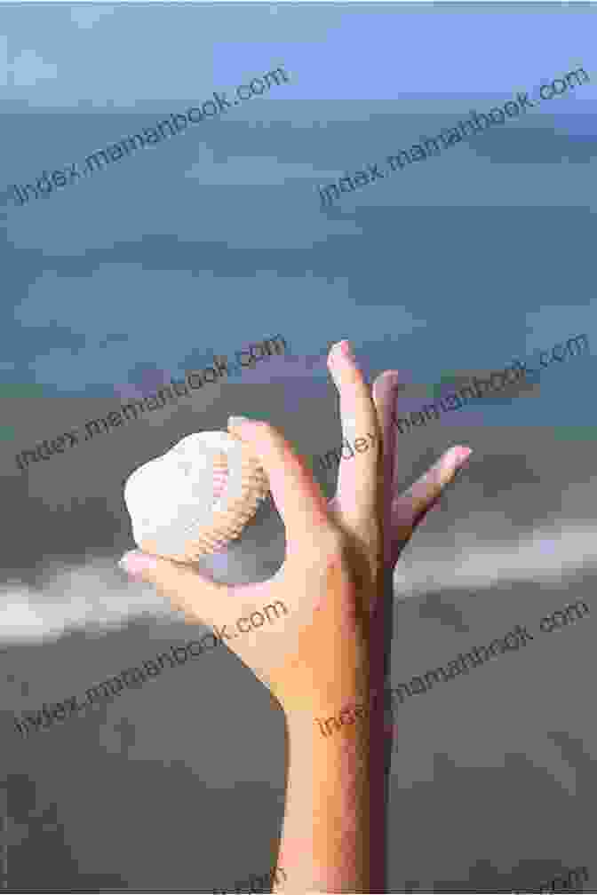 Image Of A Hand Holding A Seashell Stressed Unstressed: Classic Poems To Ease The Mind
