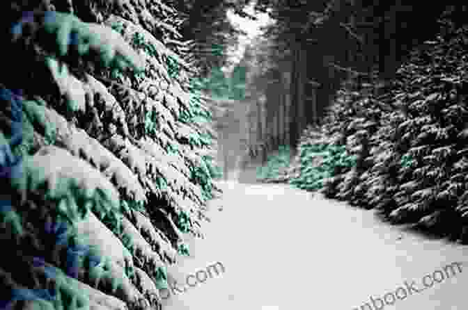 Image Of A Quiet Winter Forest Stressed Unstressed: Classic Poems To Ease The Mind
