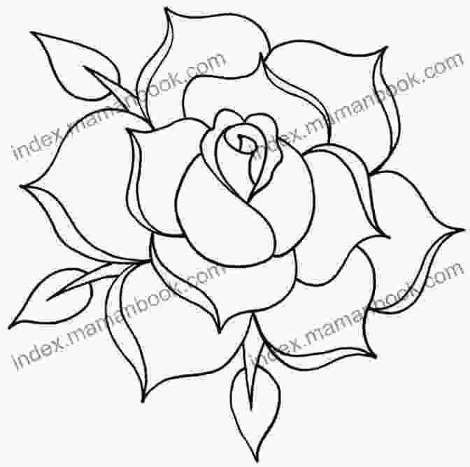 Sketching The Rose Outline Watercolor Rose Tutorial Nicole Sletten