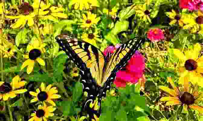 Vibrant Butterfly Garden With Blooming Flowers And Fluttery Wings Butterflies Making A Butterfly Garden