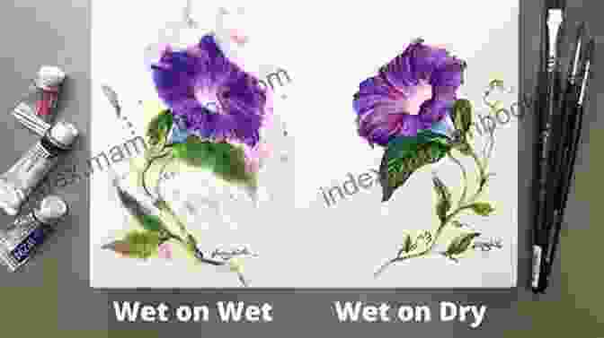 Wet On Wet Technique For Soft Petals Watercolor Rose Tutorial Nicole Sletten