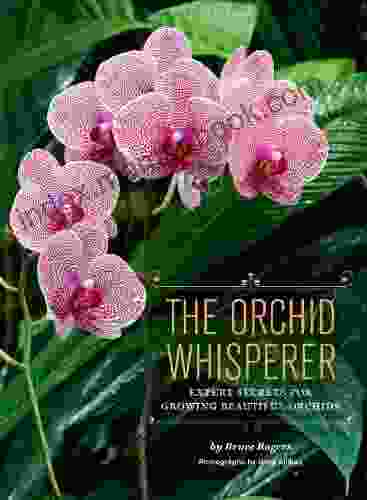 The Orchid Whisperer: Expert Secrets For Growing Beautiful Orchids