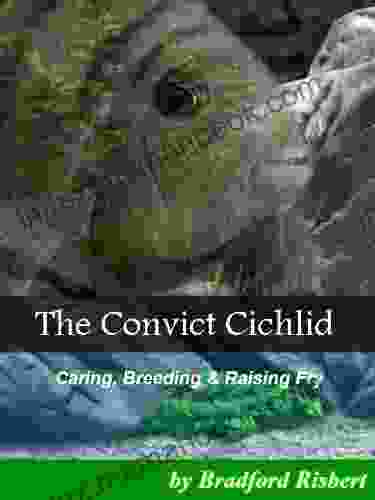 The Convict Cichlid Bradford Risbert